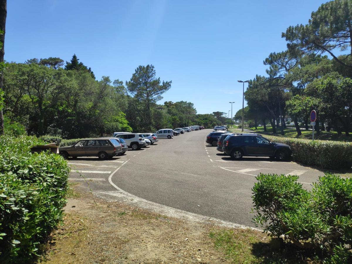 Appt Seignosse Le Penon - Plages Commerces A Pied Ngoại thất bức ảnh